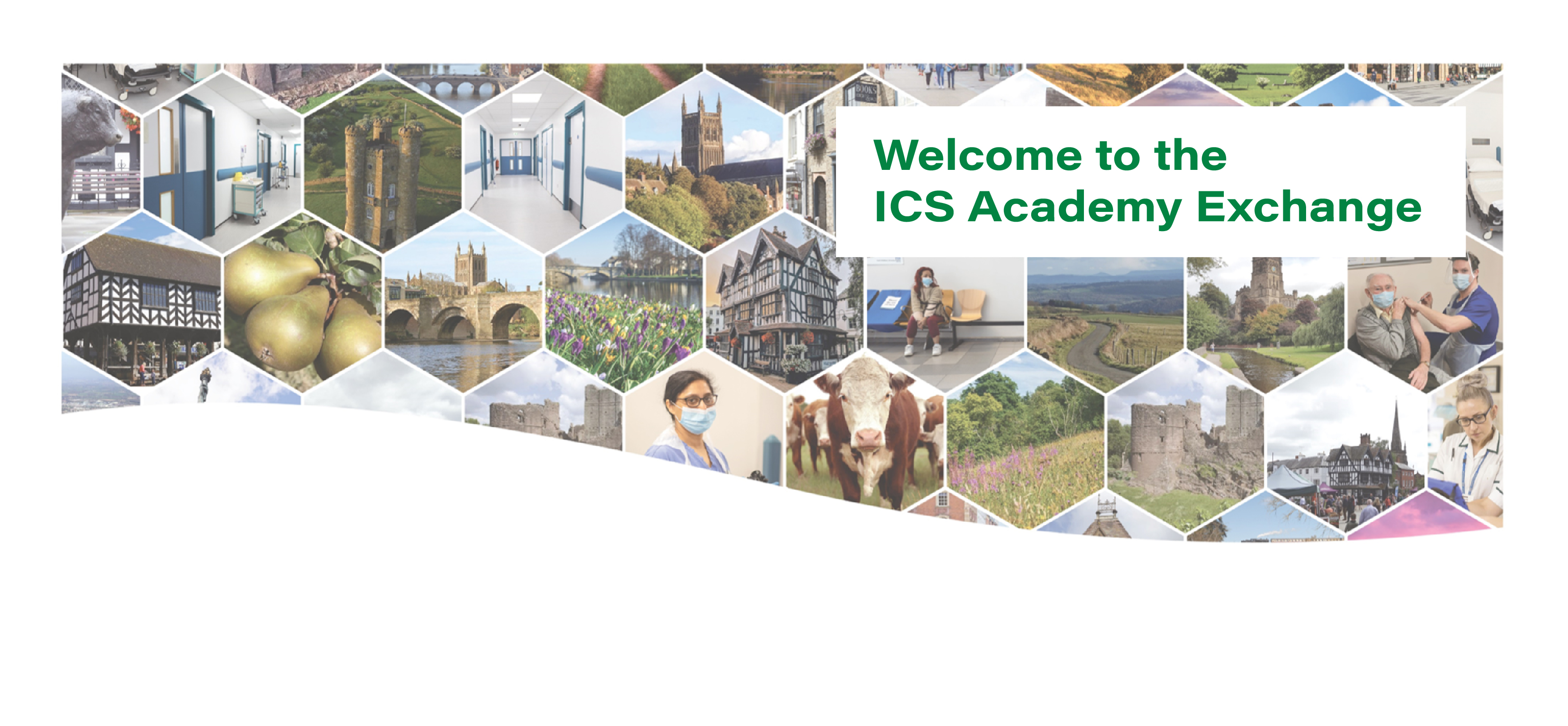 Herefordshire and Worcestershire ICS Academy Login