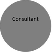 Consultant