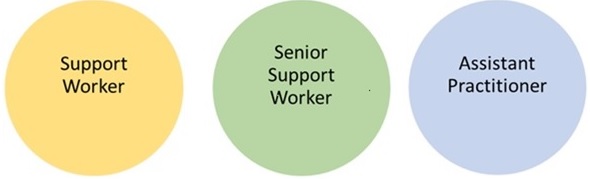 Support worker, senior support worker and Assistant Practitioner image