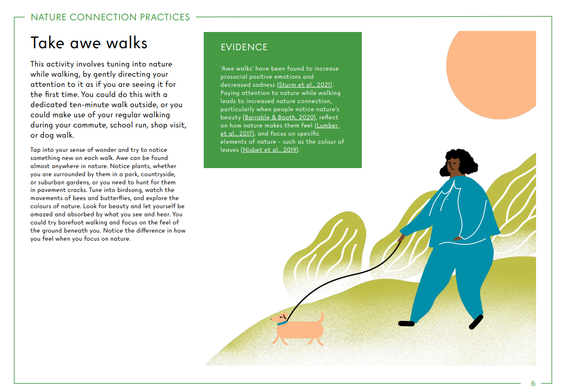 Awe Walks and example of nature connection processes