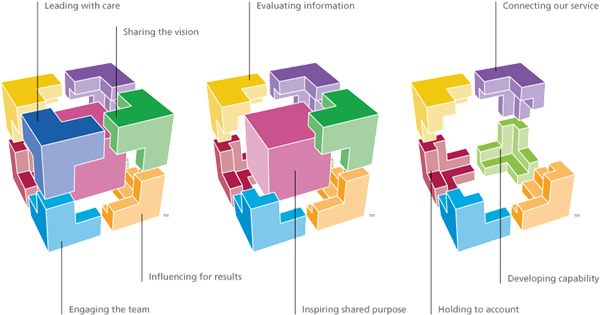 Healthcare Leadership Model 360 Dimensions